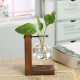 Terrarium Glass Hydroponic Plant Vase Transparent Flower Pot Wooden Frame Decorations
