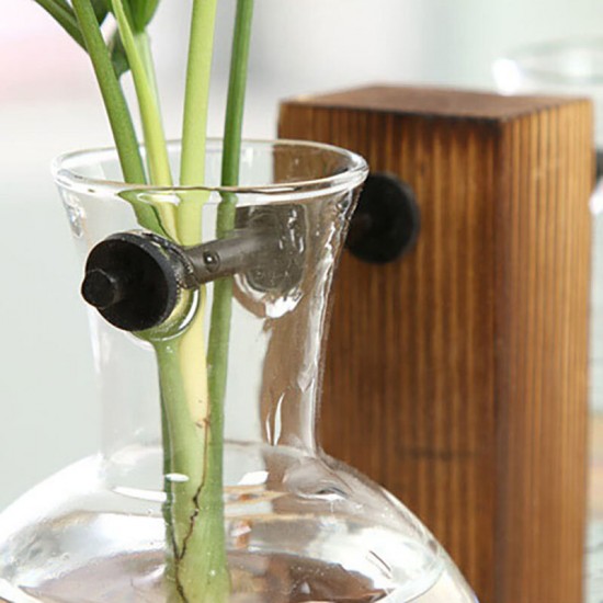 Terrarium Glass Hydroponic Plant Vase Transparent Flower Pot Wooden Frame Decorations