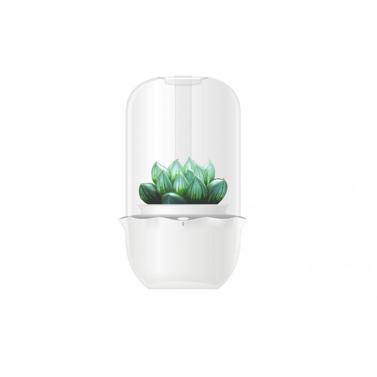 USB WiFi Intelligent Glass Succulent Plant Container Flower Pot Ecological Bottle LED Light Water Reminder USB WiFi Intelligent Glass Succulent Plant Container Flower Pot Ecological Bottle LED Light Water Reminder