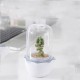 USB WiFi Intelligent Glass Succulent Plant Container Flower Pot Ecological Bottle LED Light Water Reminder USB WiFi Intelligent Glass Succulent Plant Container Flower Pot Ecological Bottle LED Light Water Reminder