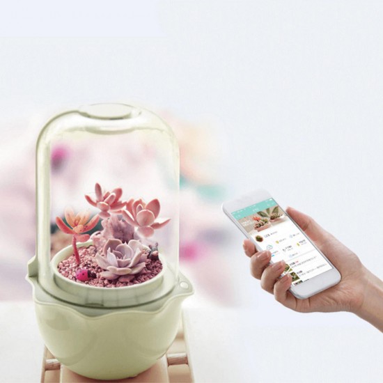 USB WiFi Intelligent Glass Succulent Plant Container Flower Pot Ecological Bottle LED Light Water Reminder USB WiFi Intelligent Glass Succulent Plant Container Flower Pot Ecological Bottle LED Light Water Reminder