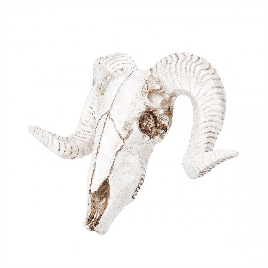 Wall Hanging Resin Ram Skull Ornament Sheep Head Animal Art Sculpture Decorations Wall Hanging Resin Ram Skull Ornament Sheep Head Animal Art Sculpture Decorations