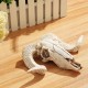 Wall Hanging Resin Ram Skull Ornament Sheep Head Animal Art Sculpture Decorations Wall Hanging Resin Ram Skull Ornament Sheep Head Animal Art Sculpture Decorations