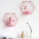 Wall Mount Shelves Shelf Floating Decor Home Storage Display Iron Rack Bookshelf Wall Mount Shelves Shelf Floating Decor Home Storage Display Iron Rack Bookshelf