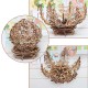 Wooden Mechanical Transmission Flower DIY Home Decorations Wooden Mechanical Transmission Flower DIY Home Decorations