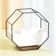 Wrought Iron Simple Octagonal Ceramic Flower Pot Creative Wall Hanging Succulent Flower Pot Set