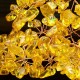 Yellow Feng Shui Crystals Gem Stones Fortune Tree Money Tree Wealth Blessing Home Decorations Yellow Feng Shui Crystals Gem Stones Fortune Tree Money Tree Wealth Blessing Home Decorations