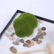 Zen Gardening Sand Kit Candle Holder Spiritual Meditation Joss Sticks Decorations