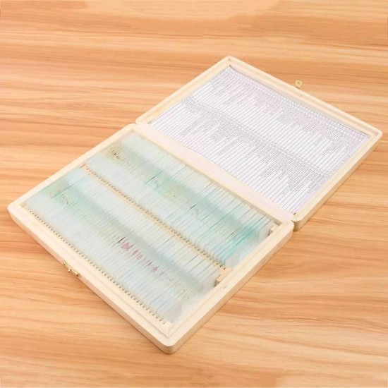 100Pcs Microscope Glass Slides Sample Glass Prepared Basic Science Biological Specimen Cover Slips Wood Storage Box Portable