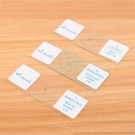 100Pcs Microscope Glass Slides Sample Glass Prepared Basic Science Biological Specimen Cover Slips Wood Storage Box Portable