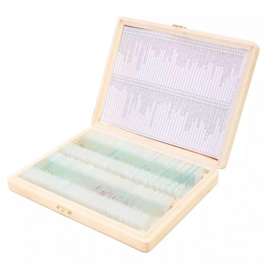 100Pcs Microscope Glass Slides Sample Glass Prepared Basic Science Biological Specimen Cover Slips Wood Storage Box Portable 100Pcs Microscope Glass Slides Sample Glass Prepared Basic Science Biological Specimen Cover Slips Wood Storage Box Portable