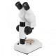 20X 40X Stereoscopic Binocular Microscope Portable with LED Light Source