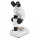 20X 40X Stereoscopic Binocular Microscope Portable with LED Light Source 20X 40X Stereoscopic Binocular Microscope Portable with LED Light Source