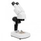 20X 40X Stereoscopic Binocular Microscope Portable with LED Light Source 20X 40X Stereoscopic Binocular Microscope Portable with LED Light Source
