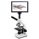 7 Inch Screen Sperm Biological Microcirculation Capillary Microscope/Darkfield Live Blood Analysis Microscope 7 Inch Screen Sperm Biological Microcirculation Capillary Microscope/Darkfield Live Blood Analysis Microscope