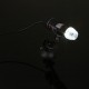 New USB 8 LED 500X 2MP Digital Microscope Endoscope Magnifier Video Camera with Suction Cup Stand New USB 8 LED 500X 2MP Digital Microscope Endoscope Magnifier Video Camera with Suction Cup Stand
