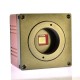 5.0MP HD Zoom C-MOUNT USB Digital Industrial Microscope Camera Measuring Microscope Measurement 1/2.5'' 2592x1944