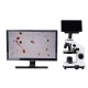 HY-1070 Microscope 16 Megapixel 4K 1080P USB Support WIFI Connection Digital Microscope with 1.0X 0.5X C-MOUNT Adapter