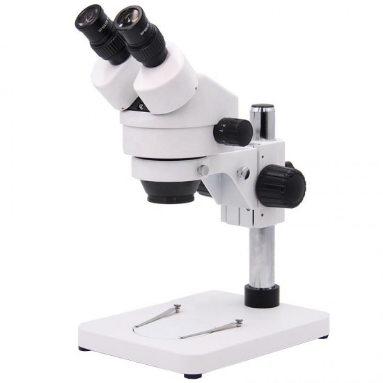 A23.1502-B1 IT Testing Use Binocular Head Zoom Anatomical Microscope
