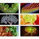 Professional Biological Microscope 64X-640X Student Science Educational Lab Monocular Microscope