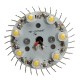 E27 Dimmable 7W Warm White/White AC 220V LED Globe Light Bulbs E27 Dimmable 7W Warm White/White AC 220V LED Globe Light Bulbs