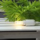 AC110-240V E14 9W 2835 No Stroboscopic 75LED Ceramic Corn Light Bulb for Indoor Home Decoration AC110-240V E14 9W 2835 No Stroboscopic 75LED Ceramic Corn Light Bulb for Indoor Home Decoration