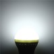 E14 3W 150-160LM 2835 SMD Warm White/White LED Globe Bulb 110V