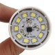 ZX E14 5W 12 SMD 2835 LED Pure White Warm White Candle Light Lamp Bulb AC220-240V