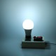 5W 10W 15W RGB E27 LED Globe Light Bulb 16 Color Changing 4 Mode Lamp + 24Keys IR Remote Control AC85-265V