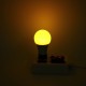 5W 10W 15W RGB E27 LED Globe Light Bulb 16 Color Changing 4 Mode Lamp + 24Keys IR Remote Control AC85-265V