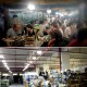 AC180-240V E27 24W 72 LED Plum Blossom Shaped Ceiling Light Bulb for Indoor Bedroom Home Decoration AC180-240V E27 24W 72 LED Plum Blossom Shaped Ceiling Light Bulb for Indoor Bedroom Home Decoration