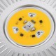 AC185-240V E27 30W UFO LED COB Floodlight Bulb for Outdoor Warehouse Industrial Replace Halogen Lamp AC185-240V E27 30W UFO LED COB Floodlight Bulb for Outdoor Warehouse Industrial Replace Halogen Lamp