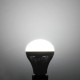 E27 15W 55 SMD 2835 Pure White/Warm White LED Globe Light Bulb 110V E27 15W 55 SMD 2835 Pure White/Warm White LED Globe Light Bulb 110V