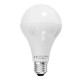 E27 3W 5W 7W 9W 12W Warm White Pure White LED Global Light Bulb AC220V
