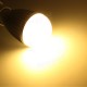 E27 8W Warm White/White Energy Saving LED Globe Light Bulb 110-240V
