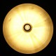 E27/E14/E12/B22/G9/GU10 Dimmable 5W AC110V LED Bulb White/Warm White 50 SMD 5730 Corn Light Lamp E27/E14/E12/B22/G9/GU10 Dimmable 5W AC110V LED Bulb White/Warm White 50 SMD 5730 Corn Light Lamp