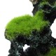 16x8.5x9cm New Resin Aquarium Coral Reef Rock Decor Aquarium Aquarium Conch Reef Moss Rockery Decorations 16x8.5x9cm New Resin Aquarium Coral Reef Rock Decor Aquarium Aquarium Conch Reef Moss Rockery Decorations