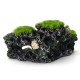 16x8.5x9cm New Resin Aquarium Coral Reef Rock Decor Aquarium Aquarium Conch Reef Moss Rockery Decorations 16x8.5x9cm New Resin Aquarium Coral Reef Rock Decor Aquarium Aquarium Conch Reef Moss Rockery Decorations