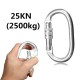 25KN Carabiner Buckle Mountain Clambing Lock Safe Quick O-Ring Tool