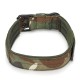 M Tactical Military Adjustable Dog Training Collar Nylon Leash w/Metal Buckle