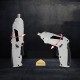 Mini Cordless Electric Screwdriver Set USB Rechargeable Drill Driver With Work Light Mini Cordless Electric Screwdriver Set USB Rechargeable Drill Driver With Work Light
