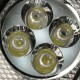 LED Windshield Warning Light Car Flash Police Beacon Emergency Strobe Signal Windscreen Lamp 12V LED Windshield Warning Light Car Flash Police Beacon Emergency Strobe Signal Windscreen Lamp 12V