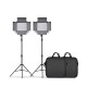 L4500K Bi-color 2 Set LED Video Light Kit Professional Camera Light Dimmable Fill Light Video with Tripod and Bag L4500K Bi-color 2 Set LED Video Light Kit Professional Camera Light Dimmable Fill Light Video with Tripod and Bag