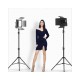 L4500K Bi-color 2 Set LED Video Light Kit Professional Camera Light Dimmable Fill Light Video with Tripod and Bag