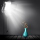 L4500K Bi-color 2 Set LED Video Light Kit Professional Camera Light Dimmable Fill Light Video with Tripod and Bag L4500K Bi-color 2 Set LED Video Light Kit Professional Camera Light Dimmable Fill Light Video with Tripod and Bag