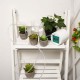 Automatic Watering Device Watering Device Drip Irrigation Tool Water Pump Timer system for Succulents Plant Automatic Watering Device Watering Device Drip Irrigation Tool Water Pump Timer system for Succulents Plant