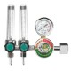 Dual Backpurge 2.5 MPA Mig Flow Meter AR/CO2 Gas Welding Weld Regulator