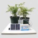 Intelligent Watering Timer Automatic Solar Water Irrigation APP WIFI Control Intelligent Watering Timer Automatic Solar Water Irrigation APP WIFI Control