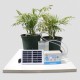 Intelligent Watering Timer Automatic Solar Water Irrigation APP WIFI Control