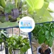 Intelligent Watering Timer Automatic Solar Water Irrigation APP WIFI Control